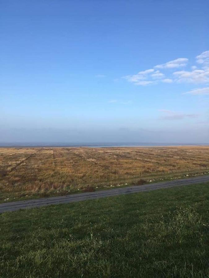 Ferienhaus Am Paradies Neuschoo Esterno foto